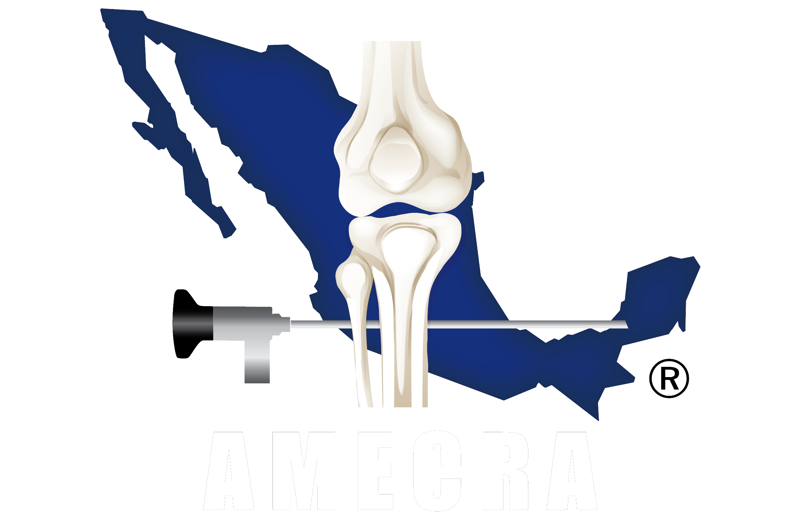 amecra logo